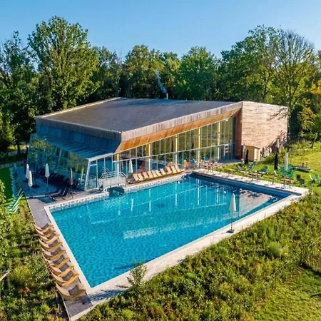 Spacious Forestside Mansion *