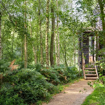 Spacious Forestside Mansion Antoing